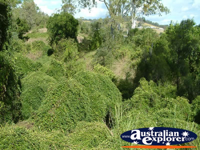 Gympie Gate's Scenery and Landscape . . . VIEW ALL GYMPIE PHOTOGRAPHS