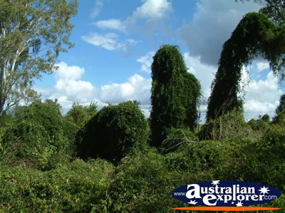 The Amazing Gympie Gate . . . VIEW ALL GYMPIE PHOTOGRAPHS