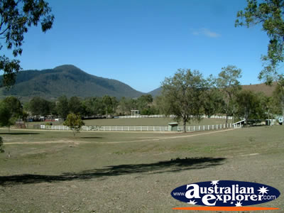Mt Perry Showgrounds . . . CLICK TO VIEW ALL MT PERRY POSTCARDS