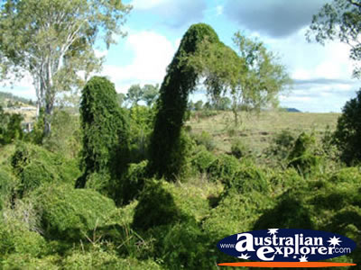 Gympie Gate in Queensland . . . VIEW ALL GYMPIE PHOTOGRAPHS
