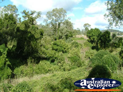 Queensland's Gympie Gate . . . VIEW ALL GYMPIE PHOTOGRAPHS
