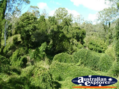 QLD's Gympie Gate . . . VIEW ALL GYMPIE PHOTOGRAPHS