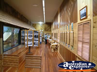 Inside at Wondai Tourist Information Centre . . . CLICK TO ENLARGE