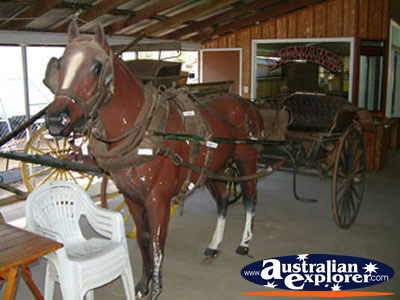 Miles Historical Village Horse & Cart . . . CLICK TO VIEW ALL MILES POSTCARDS