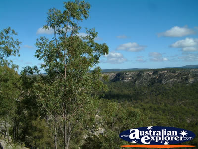 Treetop View at Isla Gorge Between Taroom and Theodore . . . VIEW ALL ISLA GORGE PHOTOGRAPHS