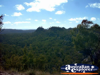 Isla Gorge Treetop View Between Taroom & Theodore . . . CLICK TO VIEW ALL ISLA GORGE POSTCARDS