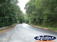 Port Douglas Road to Mossman . . . CLICK TO ENLARGE