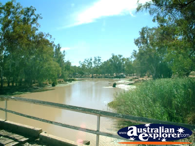 Moonie River Behind Nindigully Pub . . . CLICK TO VIEW ALL NINDIGULLY POSTCARDS