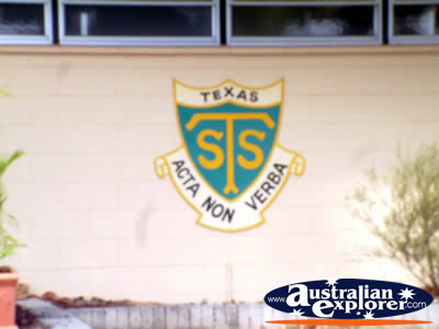 Texas State School Emblem . . . CLICK TO VIEW ALL TEXAS POSTCARDS
