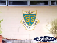 Texas State School Emblem . . . CLICK TO ENLARGE