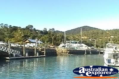 Airlie Beach Abel Point Marina . . . CLICK TO VIEW ALL AIRLIE BEACH (MARINAS) POSTCARDS