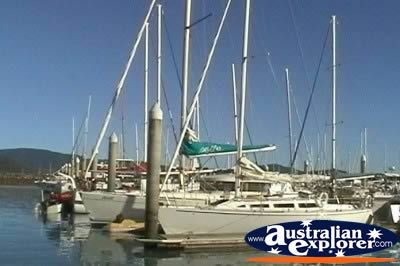 Airlie Beach Abel Point Marina Boats . . . CLICK TO VIEW ALL AIRLIE BEACH (MARINAS) POSTCARDS