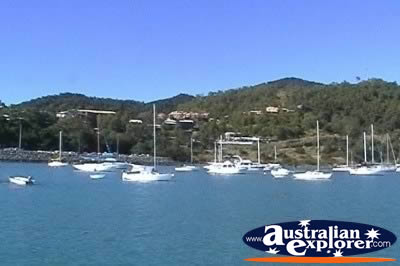 Airlie Beach Abel Point Marina View . . . CLICK TO VIEW ALL AIRLIE BEACH (MARINAS) POSTCARDS