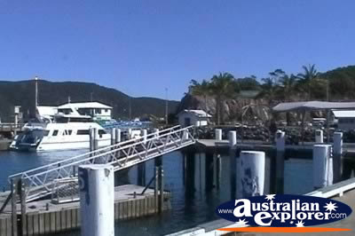 Airlie Beach Shute Harbour Jetty . . . CLICK TO VIEW ALL AIRLIE BEACH (MARINAS) POSTCARDS