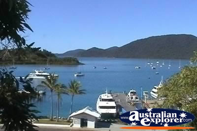 Airlie Beach Shute Harbour Boats . . . CLICK TO VIEW ALL AIRLIE BEACH (MARINAS) POSTCARDS