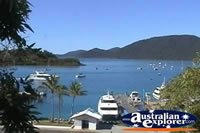 Airlie Beach Shute Harbour Boats . . . CLICK TO ENLARGE