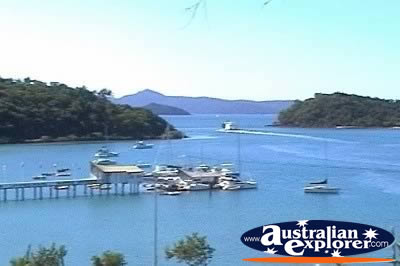 Airlie Beach Shute Harbour . . . CLICK TO VIEW ALL AIRLIE BEACH (MARINAS) POSTCARDS