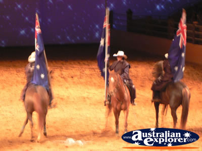 Australian Outback Spectacular Horses with Flags . . . CLICK TO VIEW ALL AUSTRALIAN OUTBACK SPECTACULAR POSTCARDS