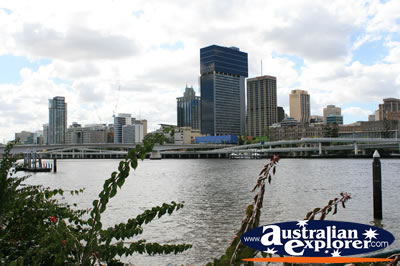 City of Brisbane . . . CLICK TO VIEW ALL BRISBANE POSTCARDS
