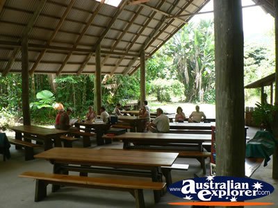 Eating area in Cape Tribulation . . . CLICK TO VIEW ALL CAPE TRIBULATION POSTCARDS