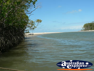 Water in Cape Tribulation . . . VIEW ALL CAPE TRIBULATION PHOTOGRAPHS