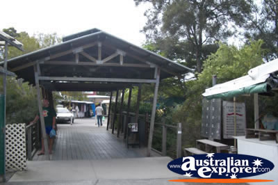 Carrara Market on the Gold Coast . . . VIEW ALL GOLD COAST (CARRARA MARKET) PHOTOGRAPHS