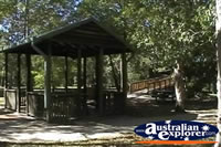 Conway National Park Picnic Area . . . CLICK TO ENLARGE