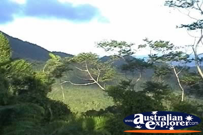 Daintree Alexandra Range Lookout View . . . CLICK TO VIEW ALL DAINTREE RAINFOREST POSTCARDS