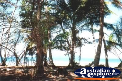 Dunk Island . . . CLICK TO VIEW ALL DUNK ISLAND POSTCARDS