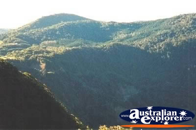 View Over Eungella National Park . . . CLICK TO VIEW ALL EUNGELLA NP POSTCARDS