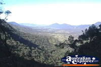 Eungella National Park . . . CLICK TO ENLARGE