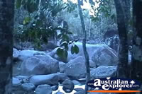 Finch Hatton Gorge Boulders . . . CLICK TO ENLARGE