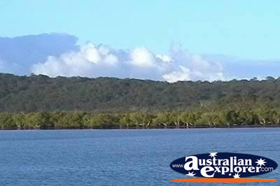 Fraser Island . . . CLICK TO VIEW ALL FRASER ISLAND (75 MILE BEACH) POSTCARDS