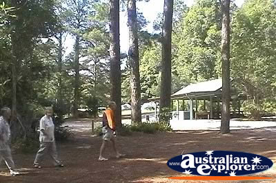 Fraser Island Central Station . . . CLICK TO VIEW ALL FRASER ISLAND (75 MILE BEACH) POSTCARDS