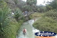 Fraser Island Swiming In Eli Creek . . . CLICK TO ENLARGE