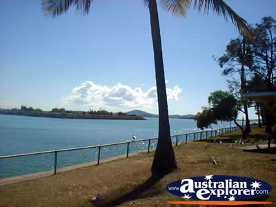Harbour in Gladstone . . . CLICK TO VIEW ALL GLADSTONE POSTCARDS
