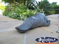 Platypus Statue . . . CLICK TO ENLARGE