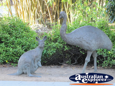 Wallaby and Emu Statues . . . CLICK TO VIEW ALL GOLD COAST BOTANIC GARDENS POSTCARDS