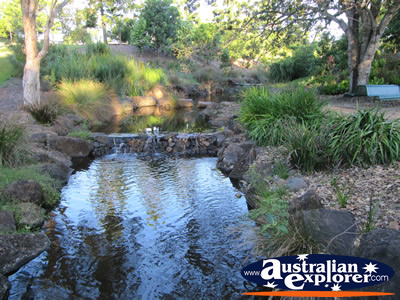 Hidden Creeks at the Gold Coast Botanic Gardens . . . CLICK TO VIEW ALL GOLD COAST BOTANIC GARDENS POSTCARDS
