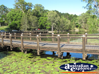 Bridge Over the Lakes of the Botanic Gardens . . . CLICK TO VIEW ALL GOLD COAST BOTANIC GARDENS POSTCARDS