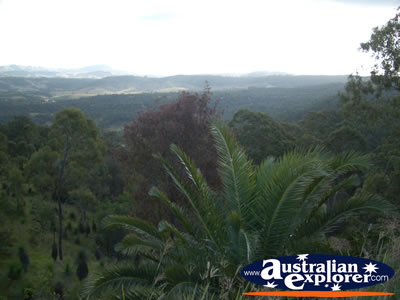 Gold Coast Hinterland View . . . CLICK TO VIEW ALL GOLD COAST (HINTERLAND) POSTCARDS
