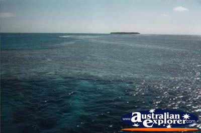 Great Barrier Reef . . . CLICK TO VIEW ALL GREAT BARRIER REEF POSTCARDS