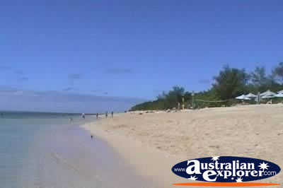 View of Green Island Beach . . . CLICK TO VIEW ALL GREEN ISLAND POSTCARDS