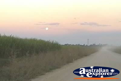 View of Ingham Farmland . . . VIEW ALL INGHAM PHOTOGRAPHS