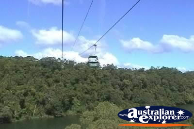 Kuranda Skyrail . . . VIEW ALL KURANDA (SKYRAIL) PHOTOGRAPHS