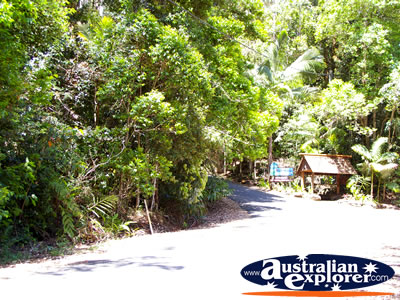 Lake Baroon Street . . . VIEW ALL LAKE BAROON PHOTOGRAPHS