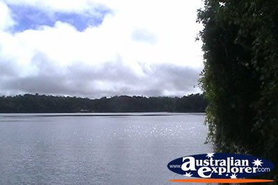 View from Lake Barrine . . . CLICK TO VIEW ALL LAKE EACHAM POSTCARDS