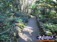 Botanic Gardens Walking Track . . . CLICK TO ENLARGE