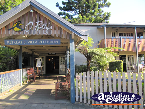 Outside O'Reillys . . . CLICK TO VIEW ALL LAMINGTON NATIONAL PARK POSTCARDS