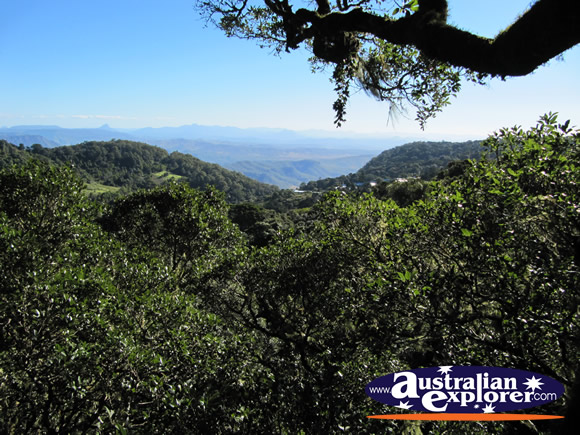View from Viewing Platform . . . CLICK TO VIEW ALL LAMINGTON NATIONAL PARK POSTCARDS